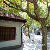 【上海旅行攻略|在武康路安安静静看老建筑】