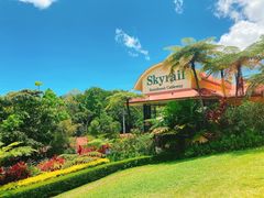 -热带雨林自然公园