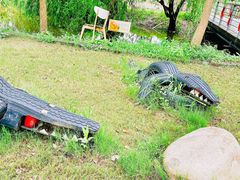 -前小桔亲子创意农场·草莓采摘·露营烧烤