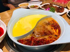 -青瓷火锅料理(西单大悦城店)