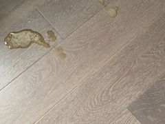 -萌兽医馆·宠物医院·猫骨科(创景店)