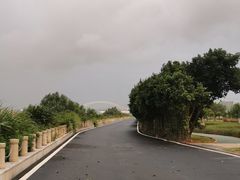 -芒洲湿地公园