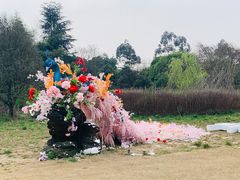 -三圣花乡旅游区