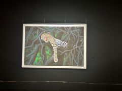 -罗红摄影艺术馆