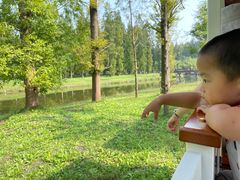 -黄海国家森林公园