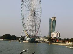 -无锡蠡湖国家湿地公园-蠡园