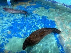 -太平洋海底世界