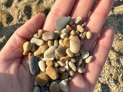 -大连老虎滩海洋公园