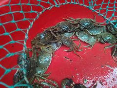 -青石桥市场北1-27号