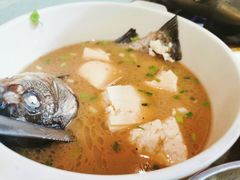 野生黄骨鱼豆腐汤-鱼乐岛餐厅·户外花园主题餐厅