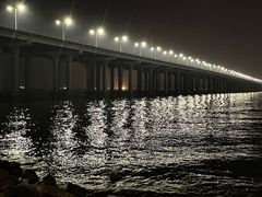 -宝安西湾红树林湿地公园