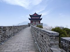 -黄贤森林公园