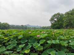 -承德避暑山庄景区
