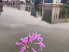 -湘湖金融镇