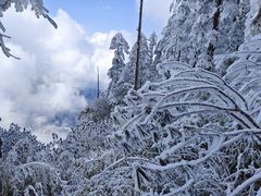 -瓦屋山景区
