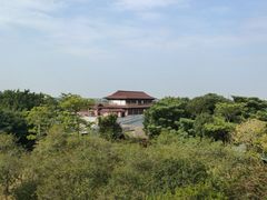 -大湾区中央湿地公园