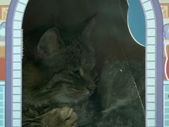 -青藏高原野生动物园
