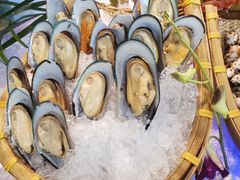 -惠州金海湾嘉华度假酒店