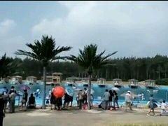 -北纬44度·金珠花海休闲农业旅游景区