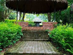 -广东茂名森林公园