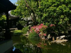 -嘉定紫藤园