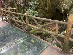 -南丹山森林王国