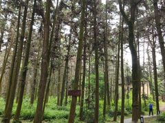 -象山森林公园
