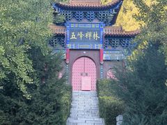 -遵化市禅林寺古银杏风景园