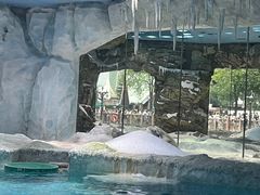 -珠海长隆海洋王国