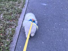 -蜀冈西峰生态公园