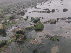 -黑石礁公园