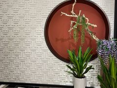 -圆苑(金茂店)