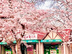 -青岛海滨风景区-鲁迅公园