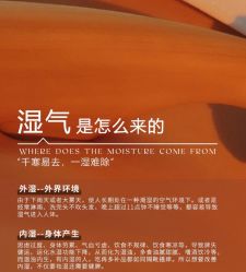 -悦瑢港湾科技美肤芳疗美容