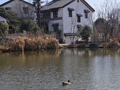-石塘人家