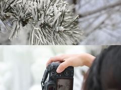 -沂蒙山旅游区云蒙景区(蒙山国家森林公园)