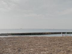 -贡湖湾湿地公园