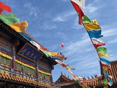 -大召无量寺