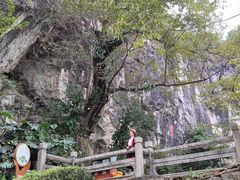 -星湖旅游景区七星岩