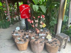 -大象粑粑造纸公园