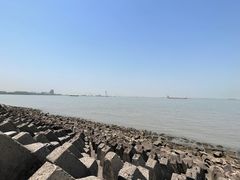 -上海滨江森林公园