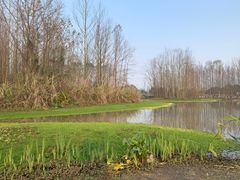 -桤木河湿地公园