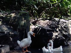 -兰亭风景区