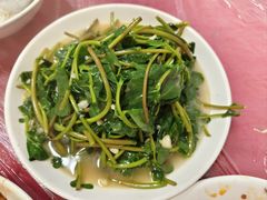 -城北松滋鸡馆(陆羽文化市场店)