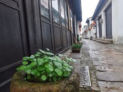 -张家港凤凰山景区恬庄古街