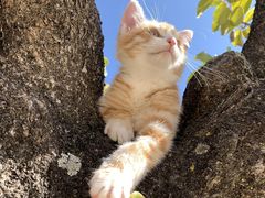 -CGWANG王氏教育(上海校区)