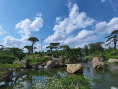 -罗红摄影艺术馆