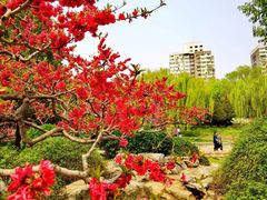 -元大都城垣遗址公园