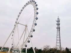 -日照海滨国家森林公园