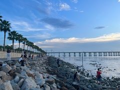 -宝安西湾红树林湿地公园